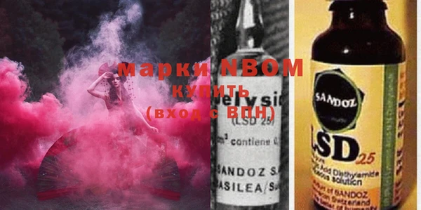 шишки Белая Холуница