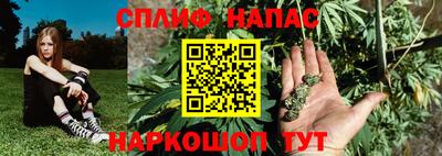 крисы Кингисепп