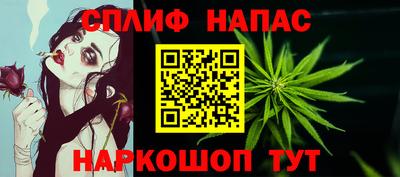 крисы Кингисепп