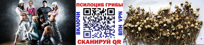 продажа наркотиков Нальчик Галлюциногенные грибы ЛСД