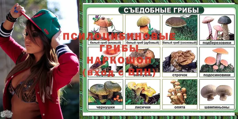 Псилоцибиновые грибы MAGIC MUSHROOMS  блэк спрут ссылки  Нальчик 