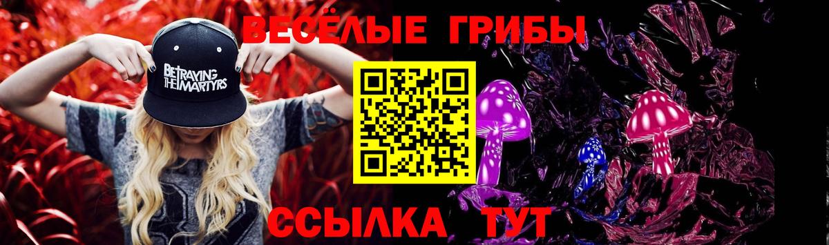 Псилоцибиновые грибы Magic Shrooms  Вход с VPN  Нальчик 
